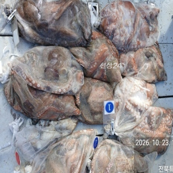 [크기변환]KakaoTalk_20261023_145344289.jpg