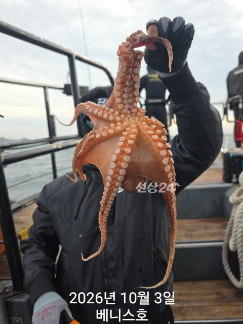 KakaoTalk_20261003_161354060_09.jpg