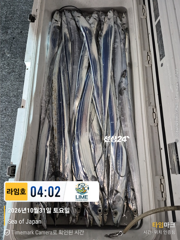KakaoTalk_20261031_043559265_14.jpg