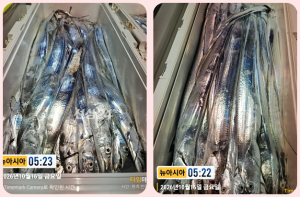 KakaoTalk_20261016_062343314_29-tile.jpg