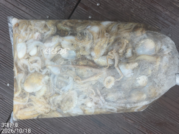 33049.jpg