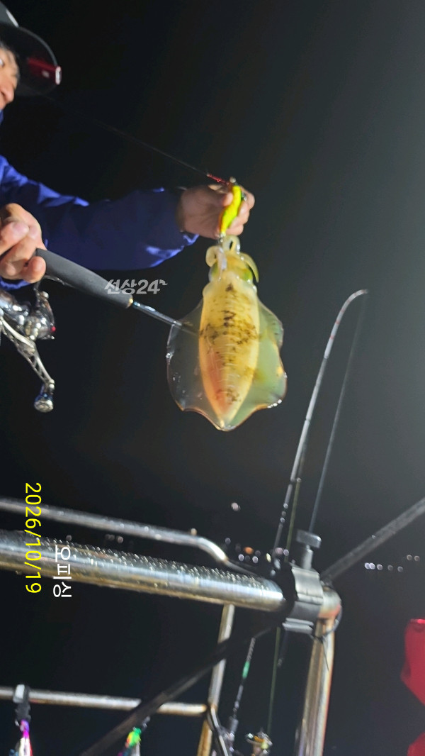 43061.jpg