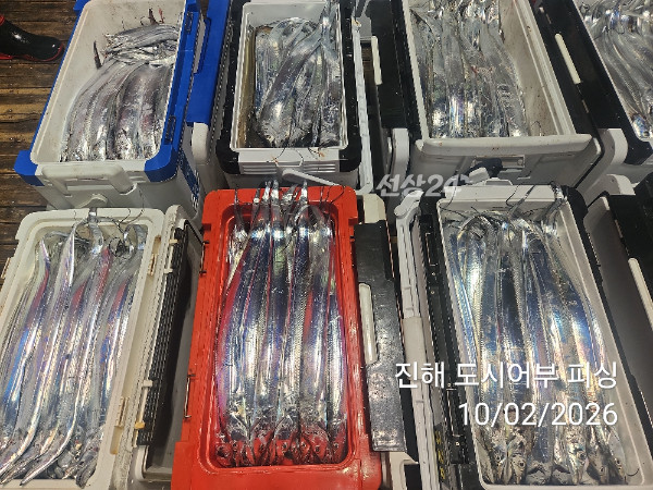 KakaoTalk_20261002_051645074_15.jpg