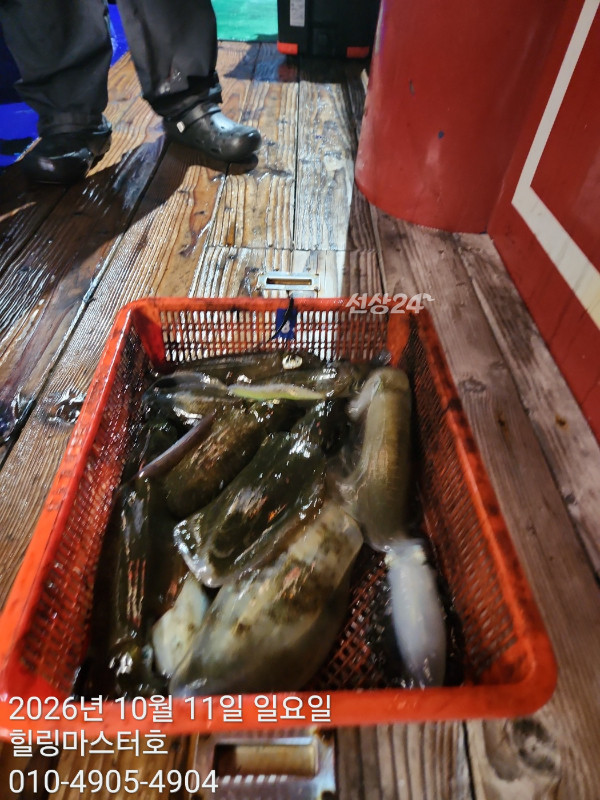 KakaoTalk_20261011_033140720_13.jpg