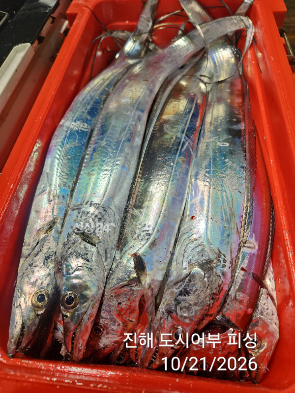 KakaoTalk_20261021_040550071_17.jpg