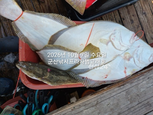 KakaoTalk_20261007_165339584_03.jpg