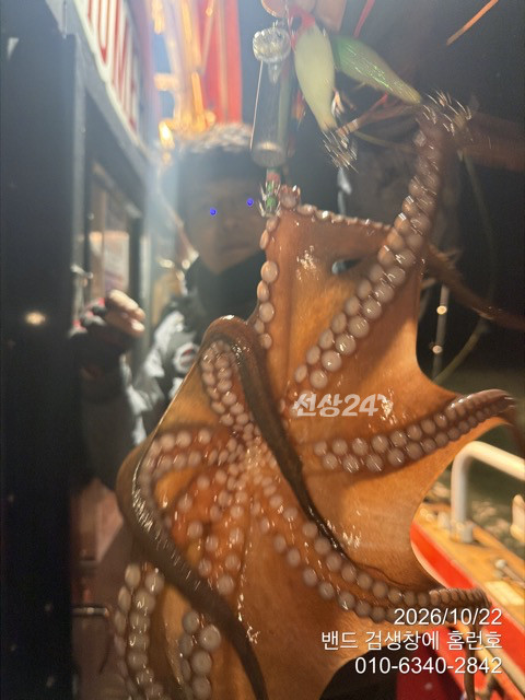 TC_09584.jpeg
