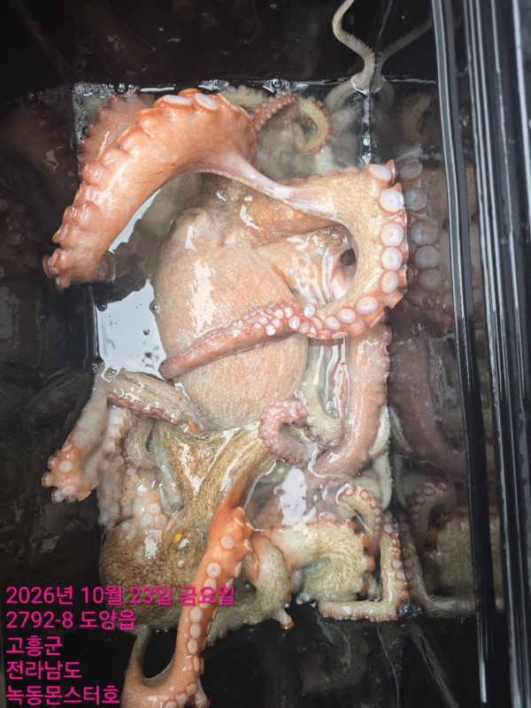 KakaoTalk_20261024_114127414_02.jpg
