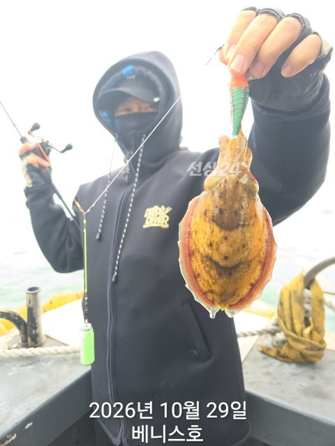 KakaoTalk_20261029_154428727_13.jpg