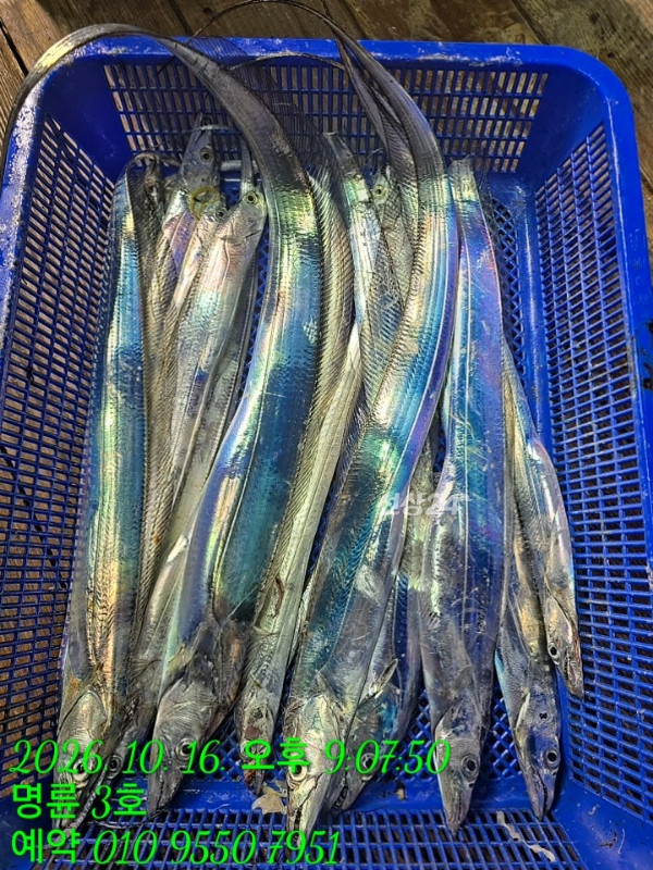 KakaoTalk_20261017_060227794_09.jpg