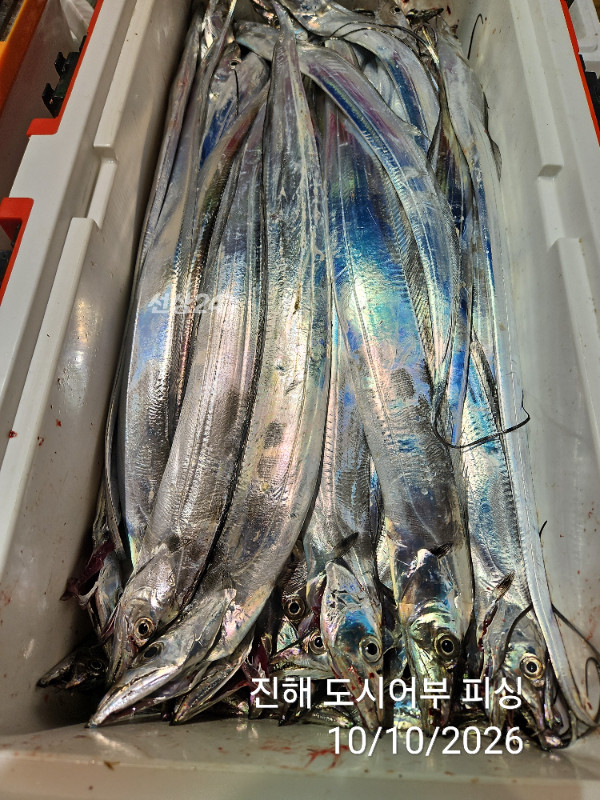 KakaoTalk_20261010_043600356_14.jpg