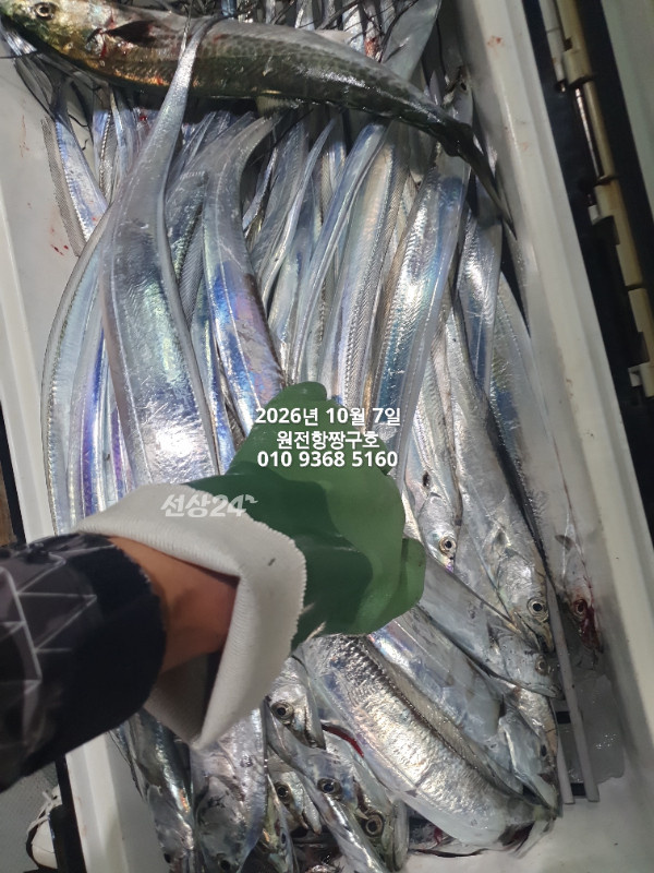 KakaoTalk_20261007_021349080_10.jpg
