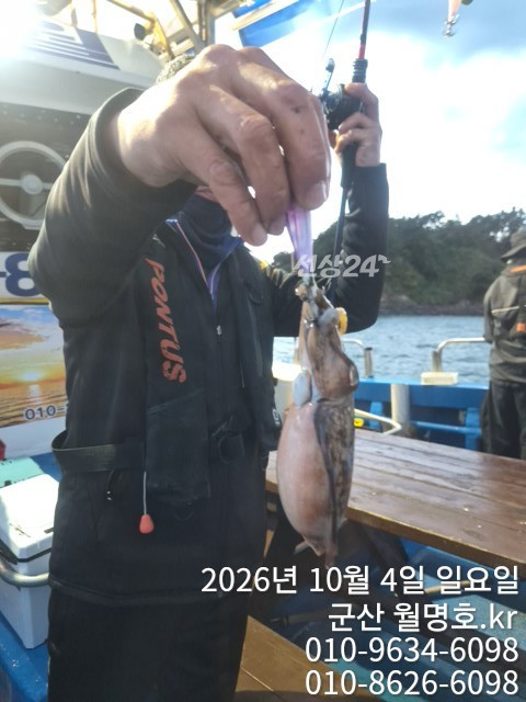 18064.jpg