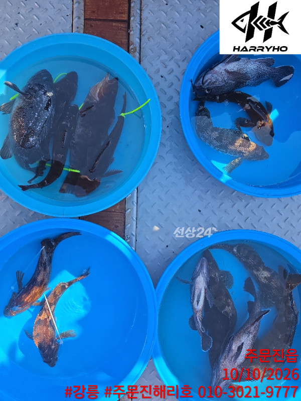 KakaoTalk_20261010_153755874_13.jpg