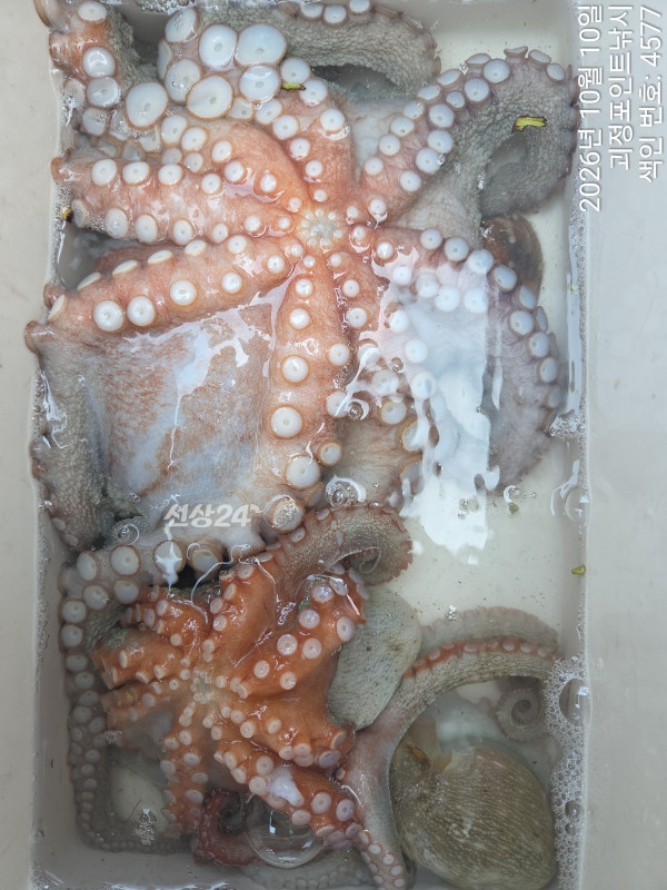 KakaoTalk_20261010_142307802_08.jpg