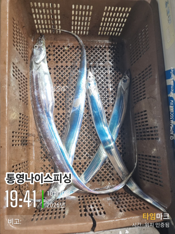 20261010_194111_글꼴-통영나이스피싱.jpg