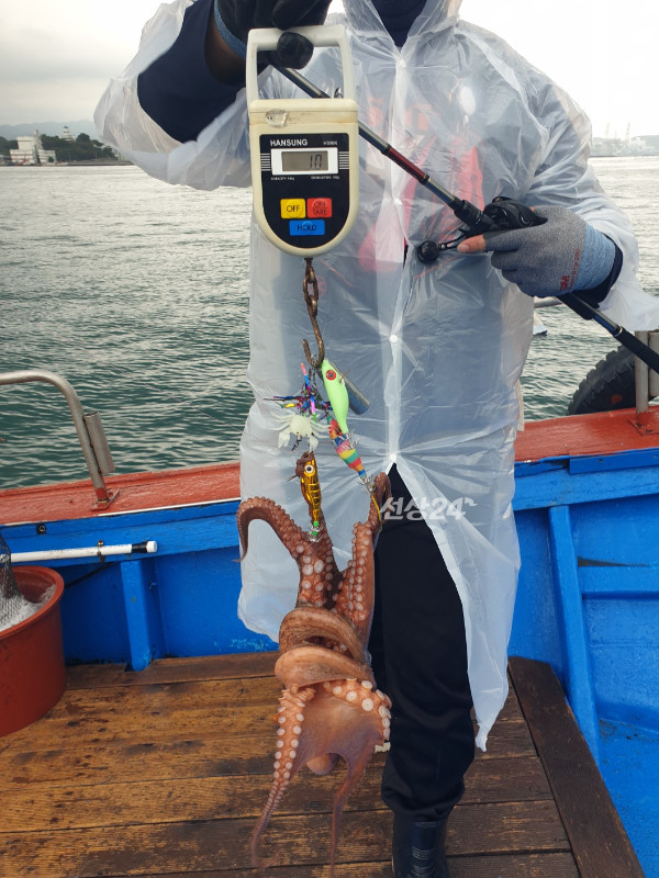 1792312462003.jpg