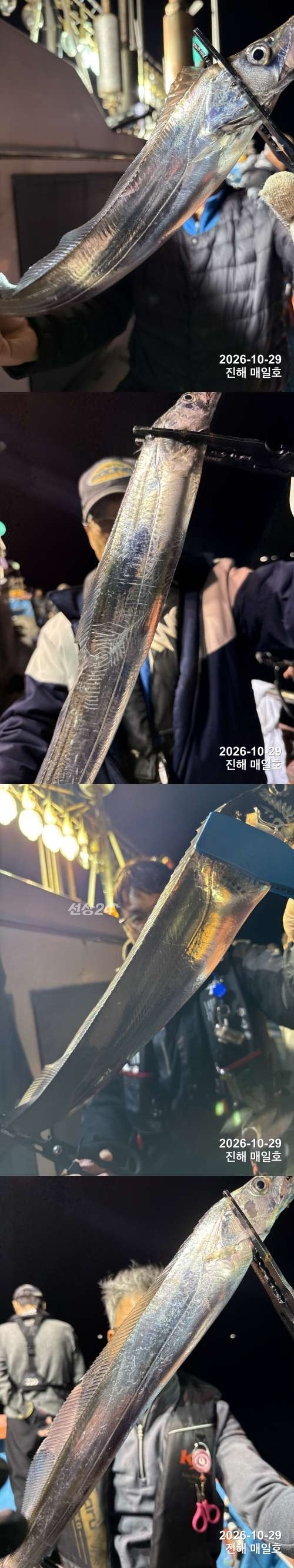 갈치1.jpg