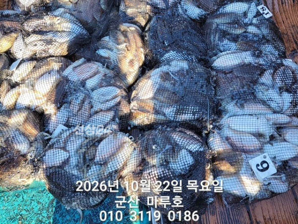 1000014930.jpg