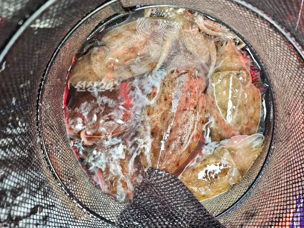 KakaoTalk_20261016_174427786_09.jpg