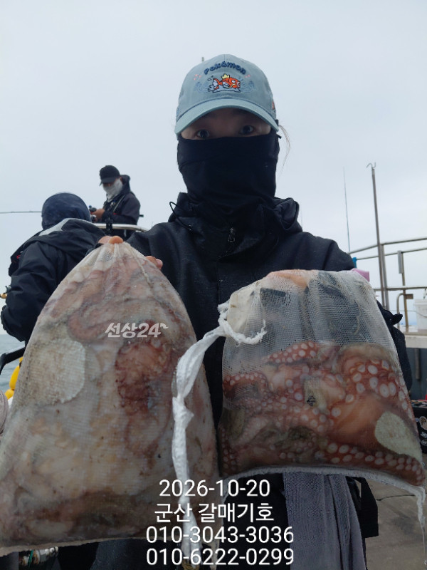12517.jpg