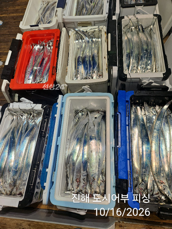 KakaoTalk_20261016_060819468_13.jpg