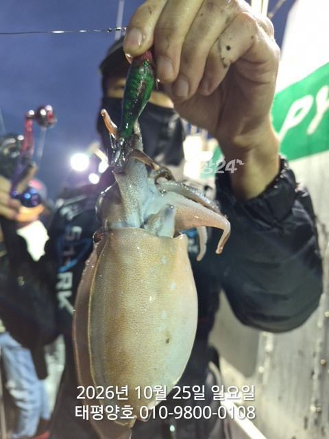 KakaoTalk_20261025_161759896_14.jpg