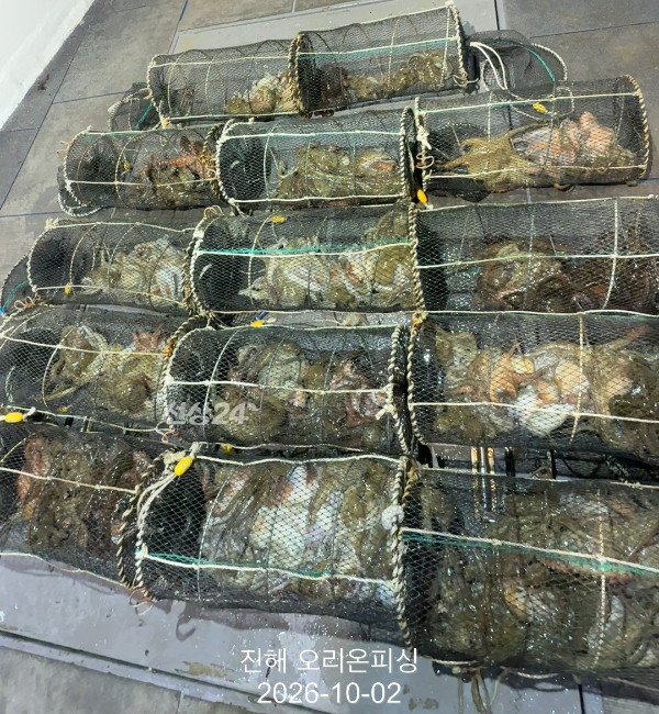 KakaoTalk_20261002_021659095_13.jpg