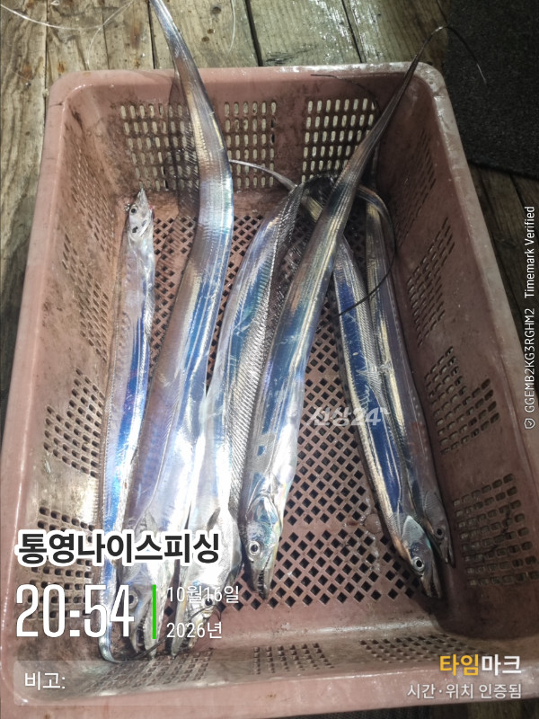 20261016_205457_글꼴-통영나이스피싱.jpg