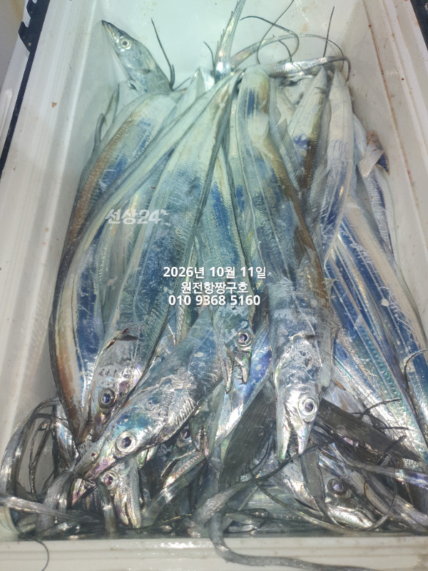 KakaoTalk_20261011_043835408_15.jpg