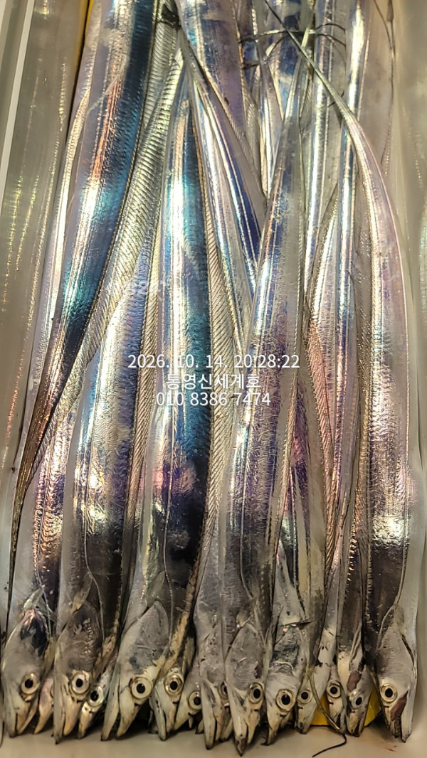 1791978464446.jpg