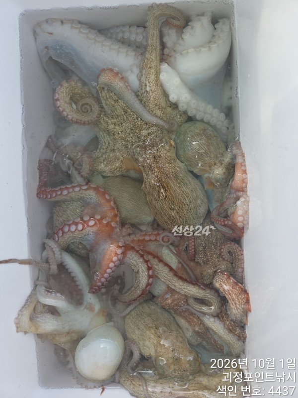 KakaoTalk_20261001_143154977_06.jpg