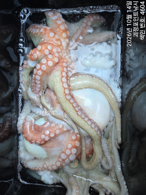 KakaoTalk_20261014_153240794_07.jpg