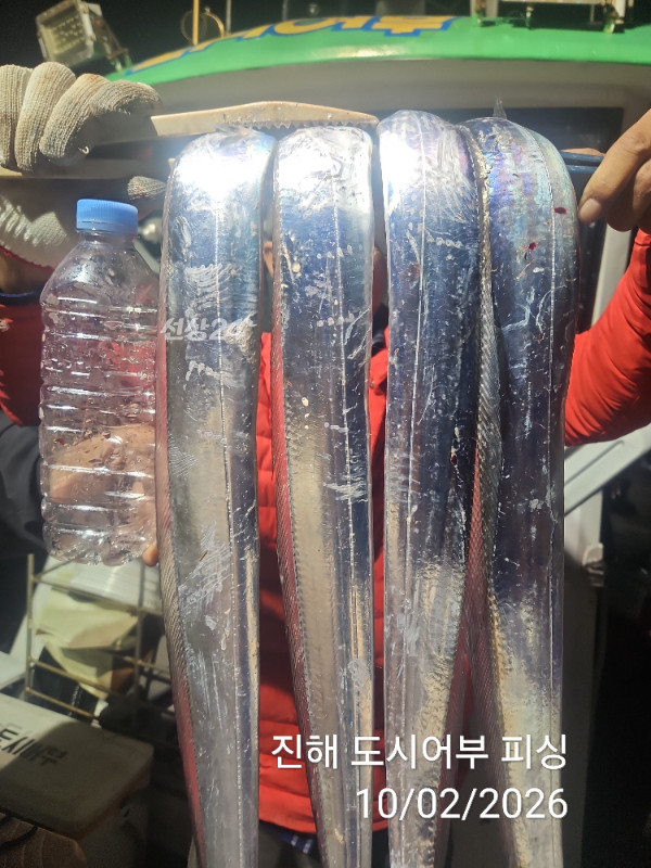 KakaoTalk_20261002_051645074_06.jpg