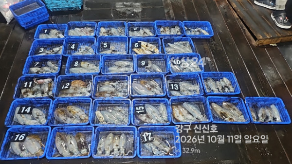 신신낚시 강구점 신신호_사진_20261011_1.jpg