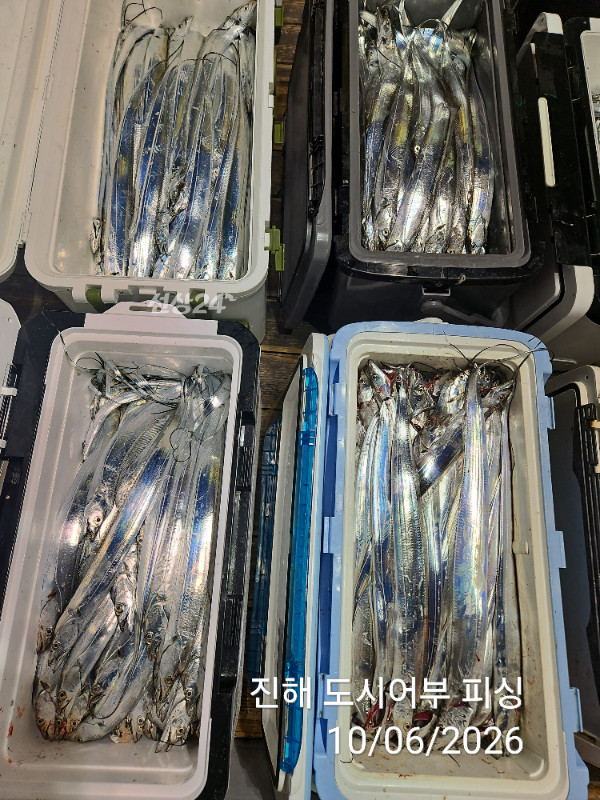 KakaoTalk_20261006_045311778_12.jpg