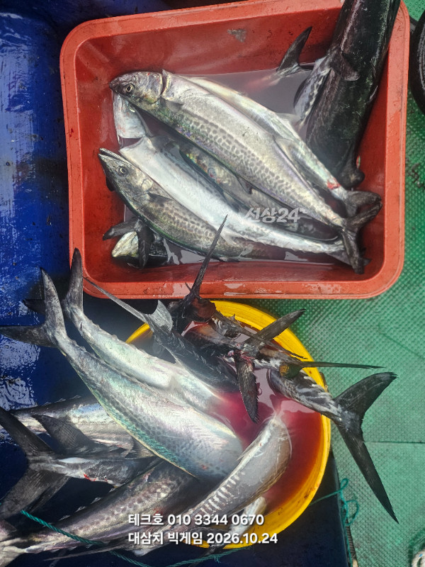 KakaoTalk_20261024_075936764.jpg