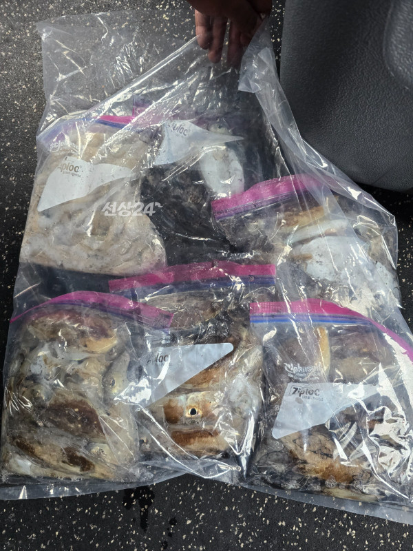 Resized_20261003_171706(0).jpeg
