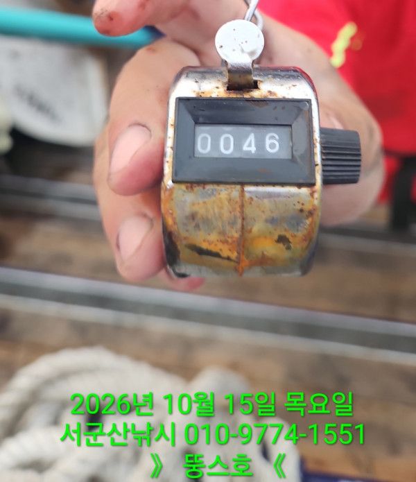 군산 선상낚시, 바다낚시 출조 전문 ☆서군산낚시☆_사진_20261015_8.jpg