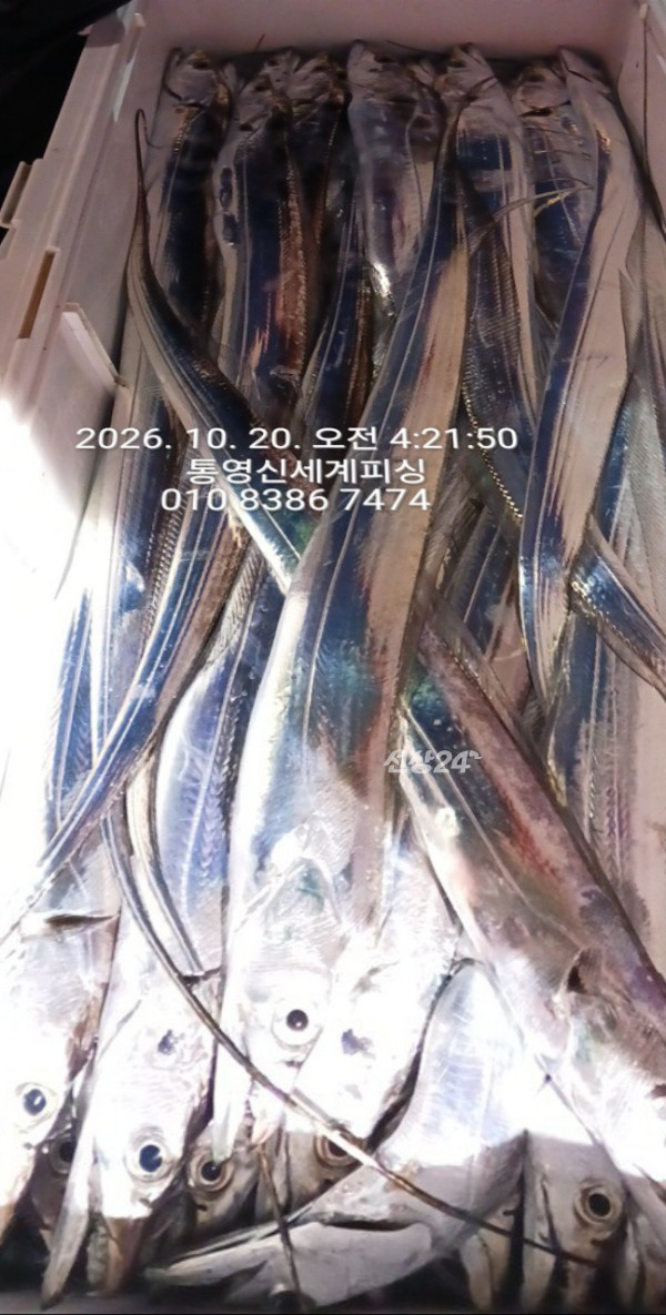 1792445643286.jpg