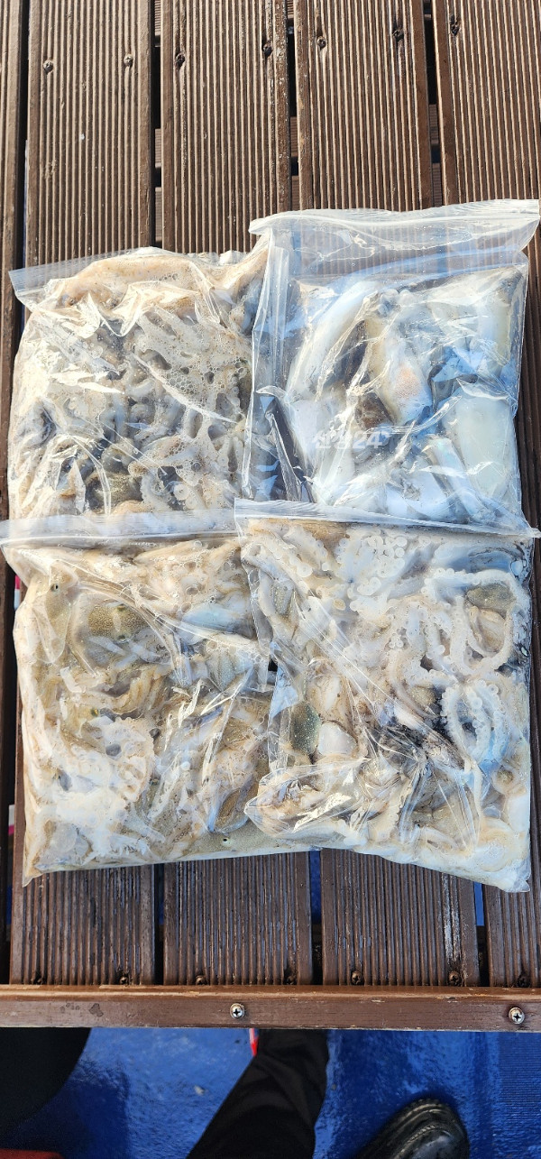 KakaoTalk_20261009_160317241_02.jpg