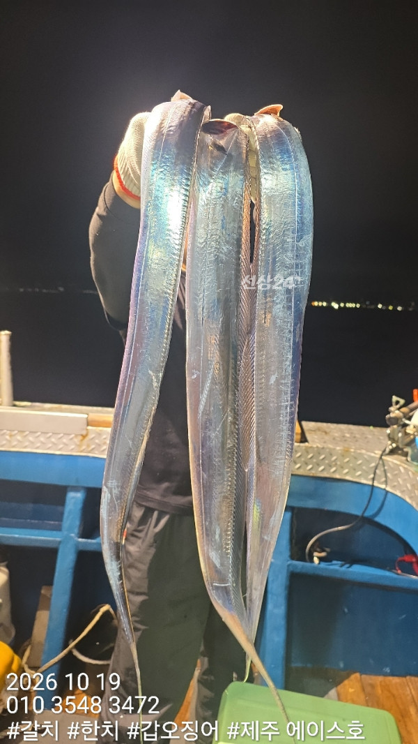 KakaoTalk_20261019_132436958_02.jpg