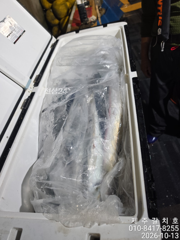 69231.jpg
