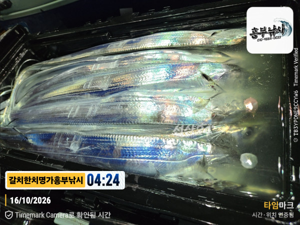 20261016_042439_Japan_제목-갈치한치명가흥부낚시.jpg