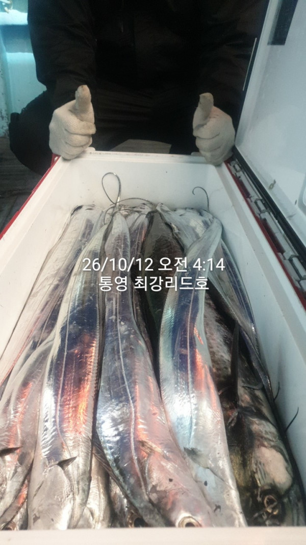 KakaoTalk_20261014_100554675_07.jpg