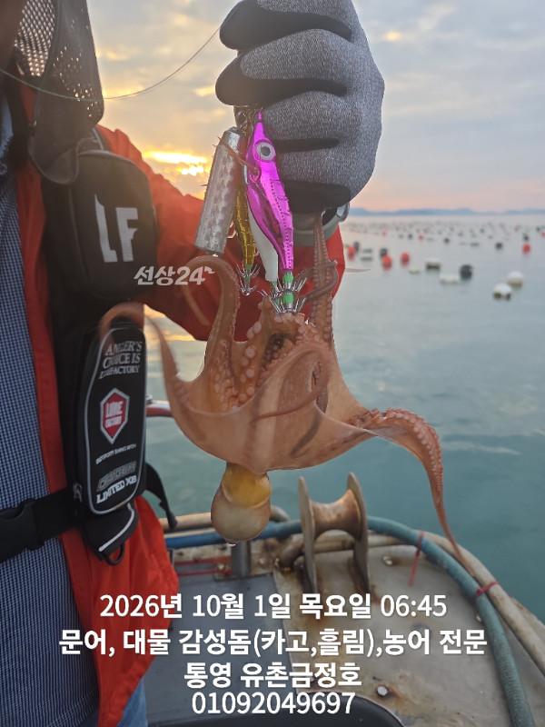 1000061386.jpg