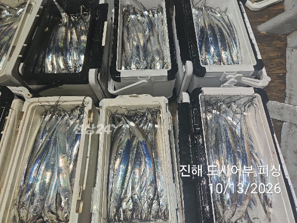 KakaoTalk_20261013_051029627_16.jpg