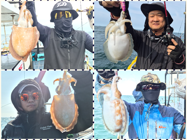 collage2.png