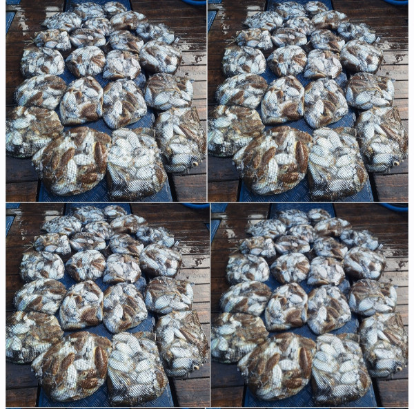 1000082999.jpg