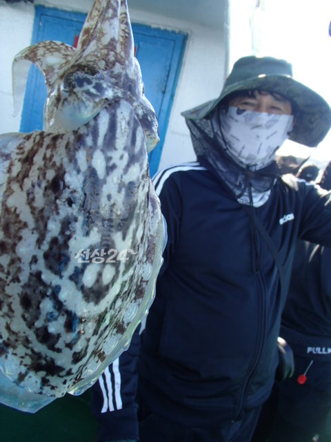 203.JPG